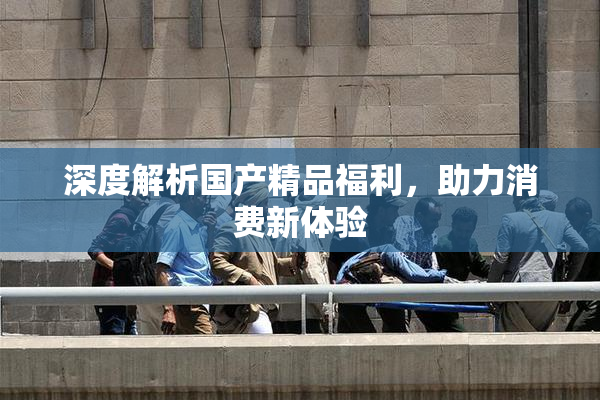 深度解析国产精品福利，助力消费新体验