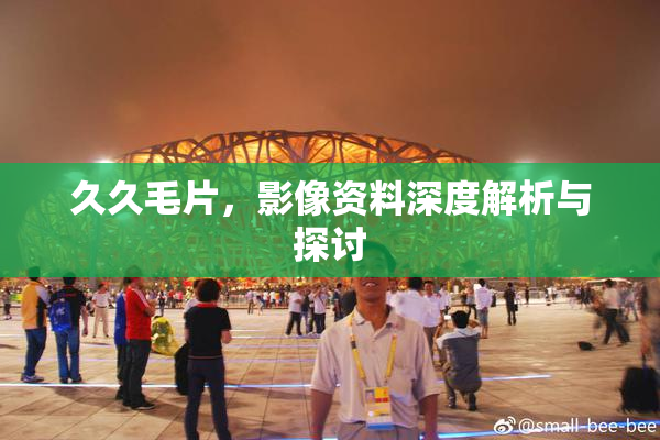 久久毛片，影像资料深度解析与探讨
