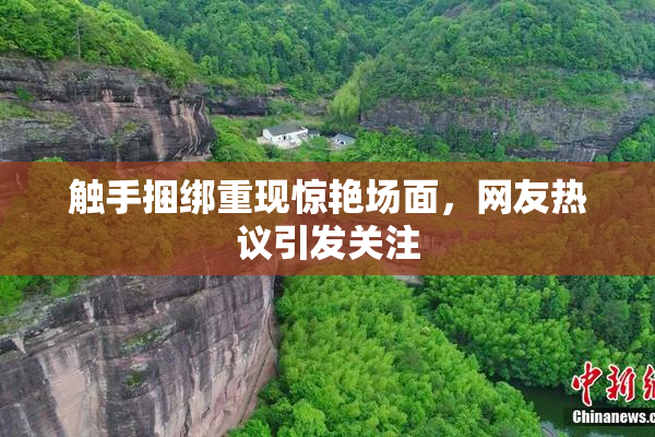 触手捆绑重现惊艳场面，网友热议引发关注