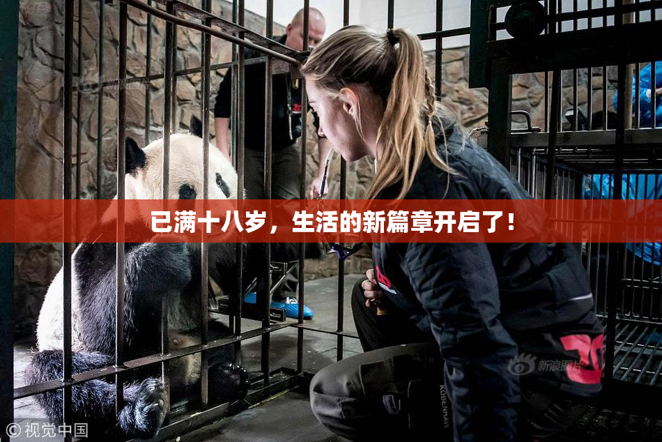 已满十八岁，生活的新篇章开启了！