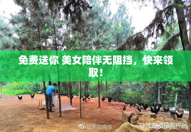 免费送你 美女陪伴无阻挡，快来领取！