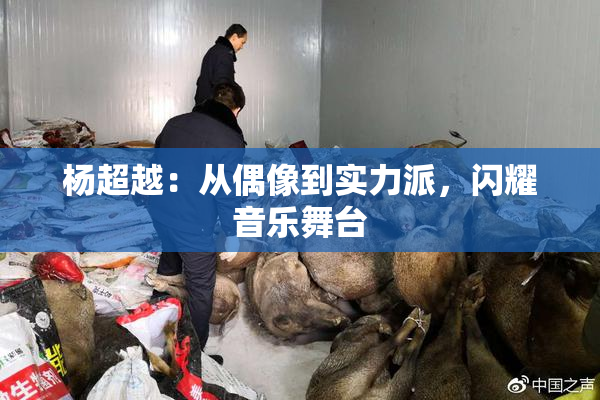 杨超越：从偶像到实力派，闪耀音乐舞台