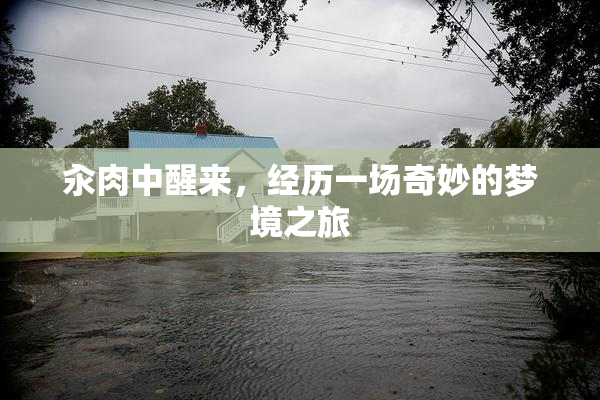 汆肉中醒来，经历一场奇妙的梦境之旅