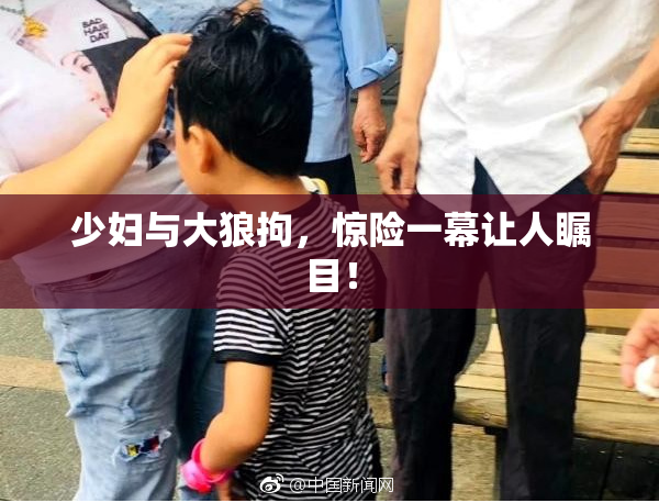 少妇与大狼拘，惊险一幕让人瞩目！