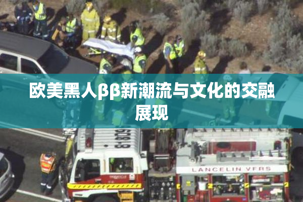 欧美黑人ββ新潮流与文化的交融展现