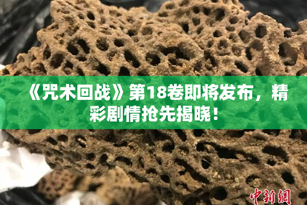 《咒术回战》第18卷即将发布，精彩剧情抢先揭晓！