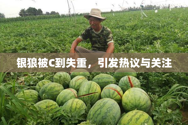 银狼被C到失重，引发热议与关注