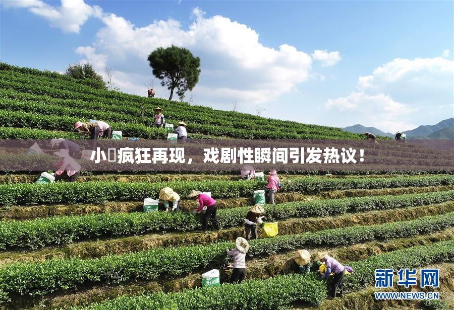 小泬疯狂再现，戏剧性瞬间引发热议！