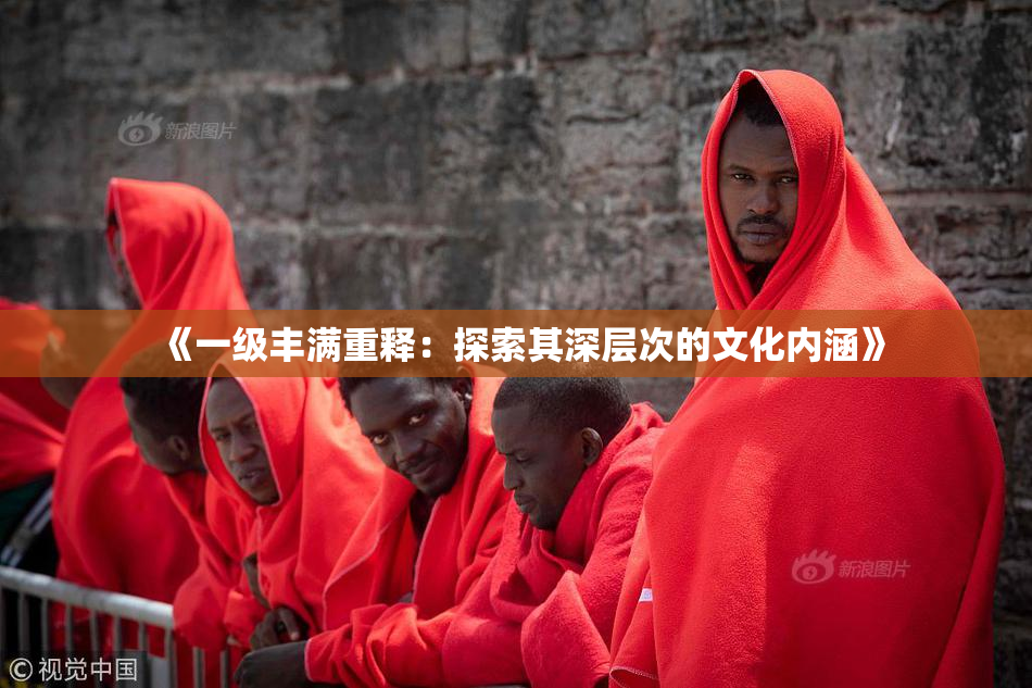 《一级丰满重释：探索其深层次的文化内涵》