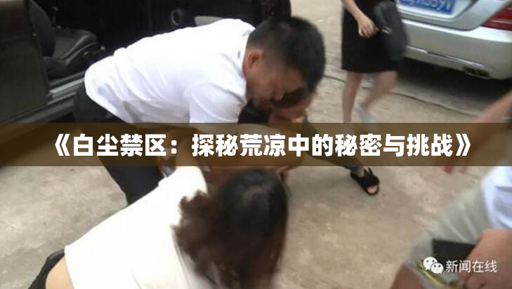 《白尘禁区：探秘荒凉中的秘密与挑战》