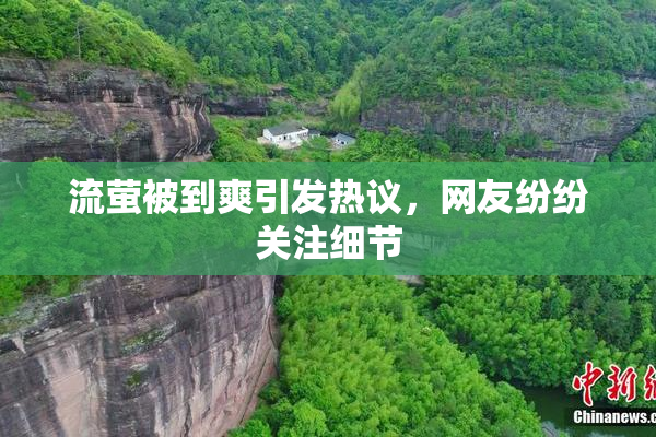 流萤被到爽引发热议，网友纷纷关注细节