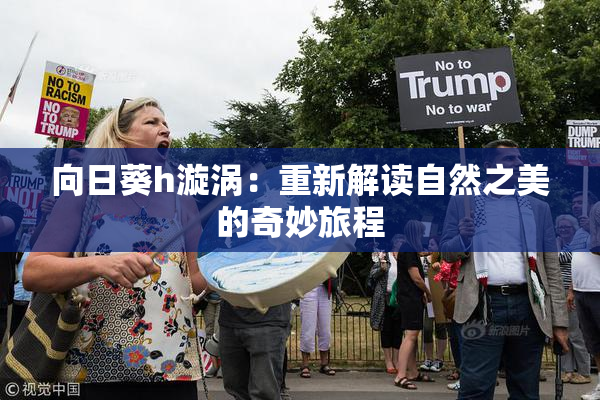 向日葵h漩涡：重新解读自然之美的奇妙旅程