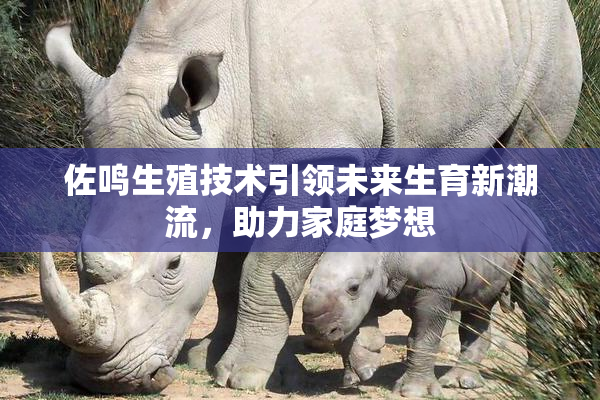 佐鸣生殖技术引领未来生育新潮流，助力家庭梦想