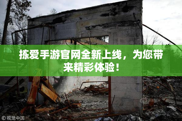 拣爱手游官网全新上线，为您带来精彩体验！