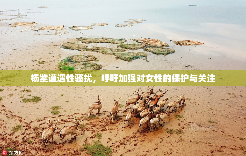 杨紫遭遇性骚扰，呼吁加强对女性的保护与关注