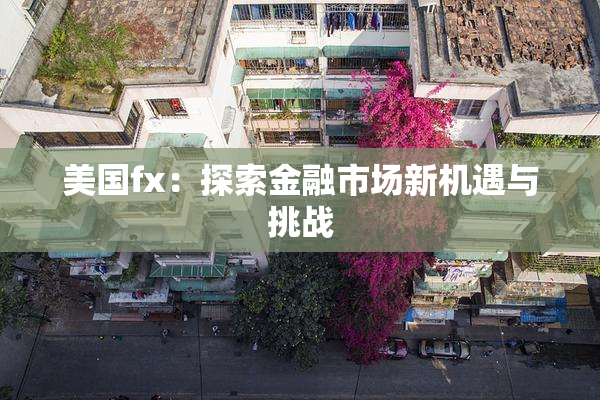 美国fx：探索金融市场新机遇与挑战