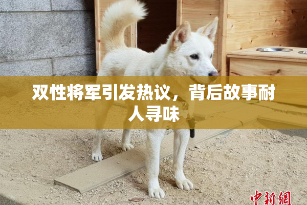 双性将军引发热议，背后故事耐人寻味