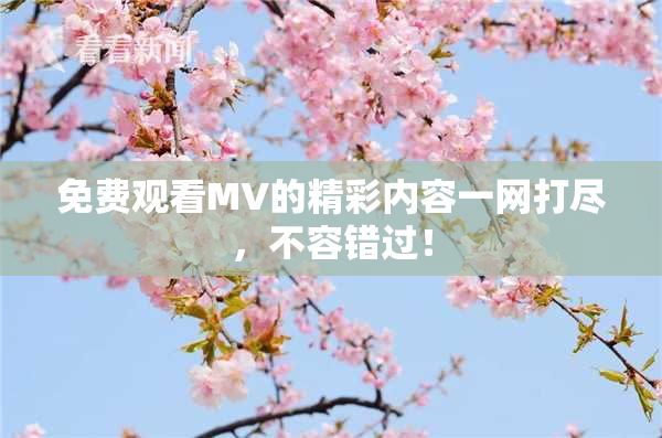 免费观看MV的精彩内容一网打尽，不容错过！
