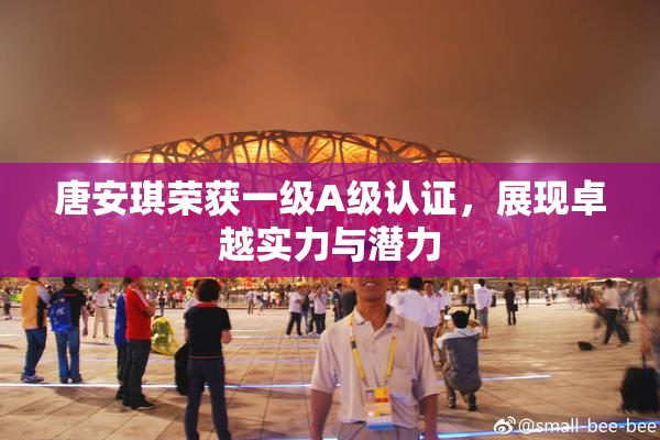 唐安琪荣获一级A级认证，展现卓越实力与潜力