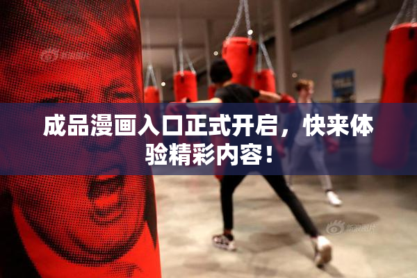 成品漫画入口正式开启，快来体验精彩内容！