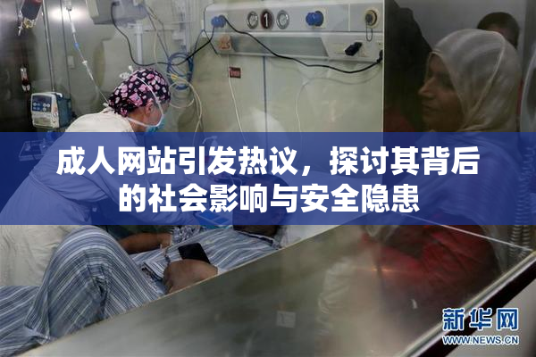 成人网站引发热议，探讨其背后的社会影响与安全隐患
