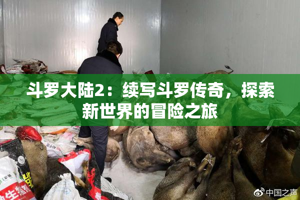 斗罗大陆2：续写斗罗传奇，探索新世界的冒险之旅