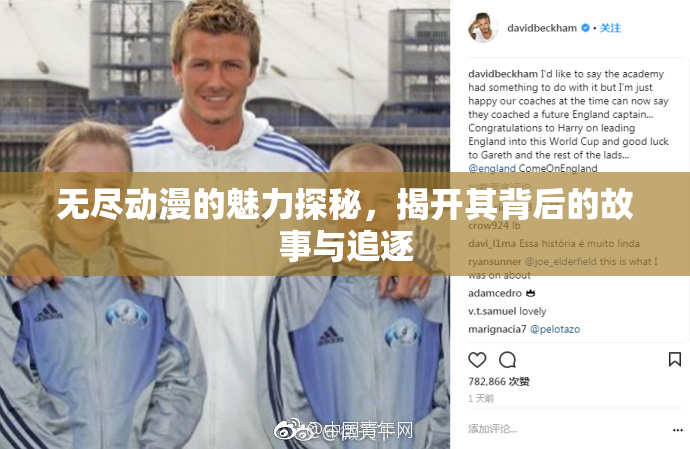 无尽动漫的魅力探秘，揭开其背后的故事与追逐