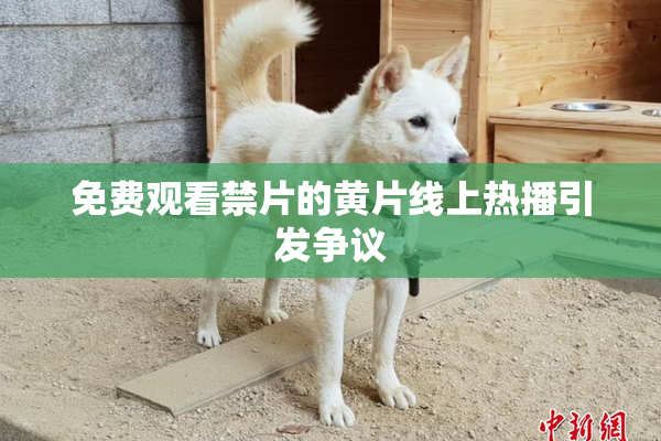 免费观看禁片的黄片线上热播引发争议