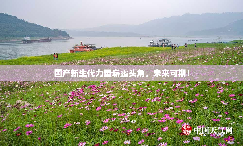 国产新生代力量崭露头角，未来可期！