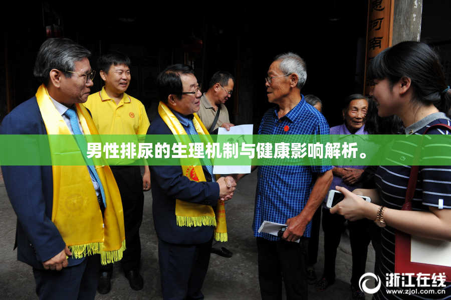 男性排尿的生理机制与健康影响解析。