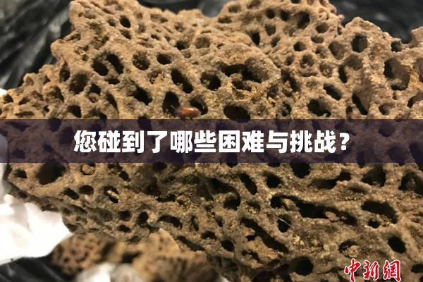 您碰到了哪些困难与挑战？