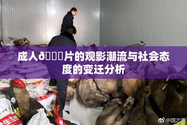成人🔞片的观影潮流与社会态度的变迁分析