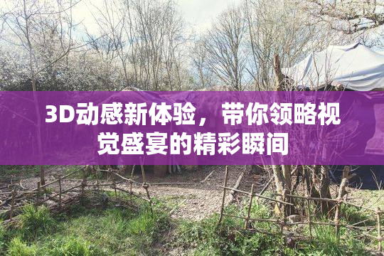 3D动感新体验，带你领略视觉盛宴的精彩瞬间