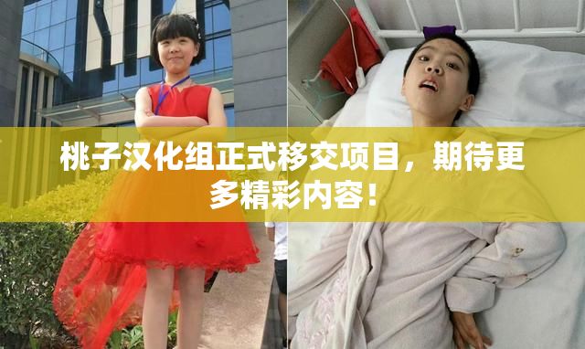 桃子汉化组正式移交项目，期待更多精彩内容！