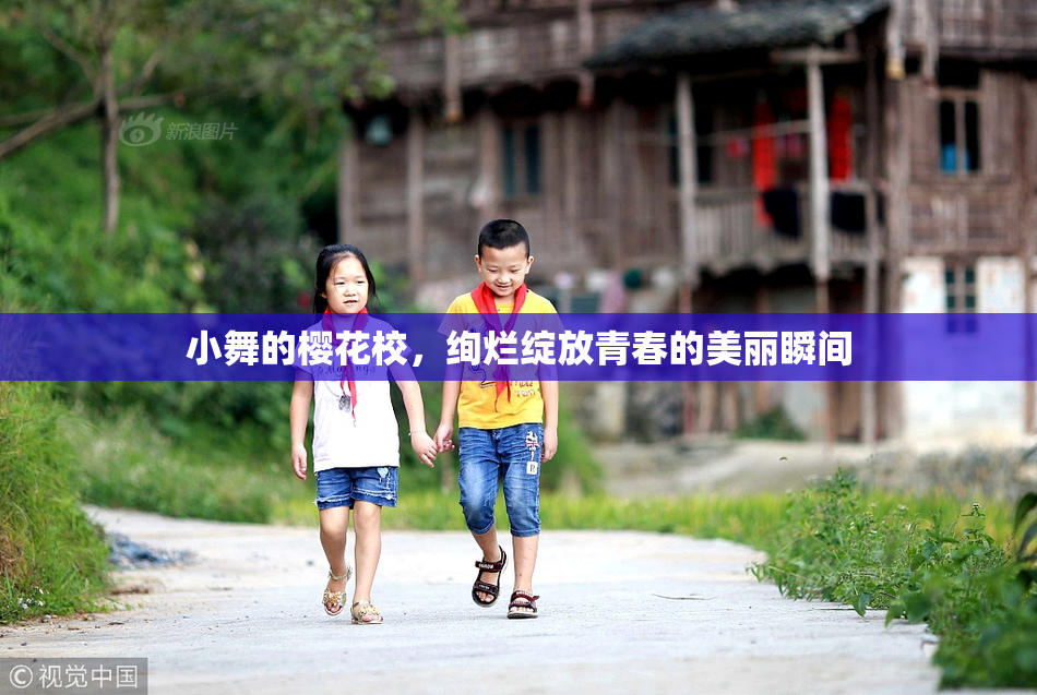 小舞的樱花校，绚烂绽放青春的美丽瞬间