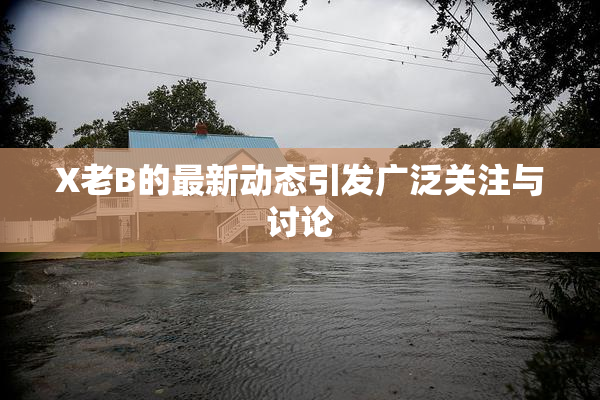 X老B的最新动态引发广泛关注与讨论