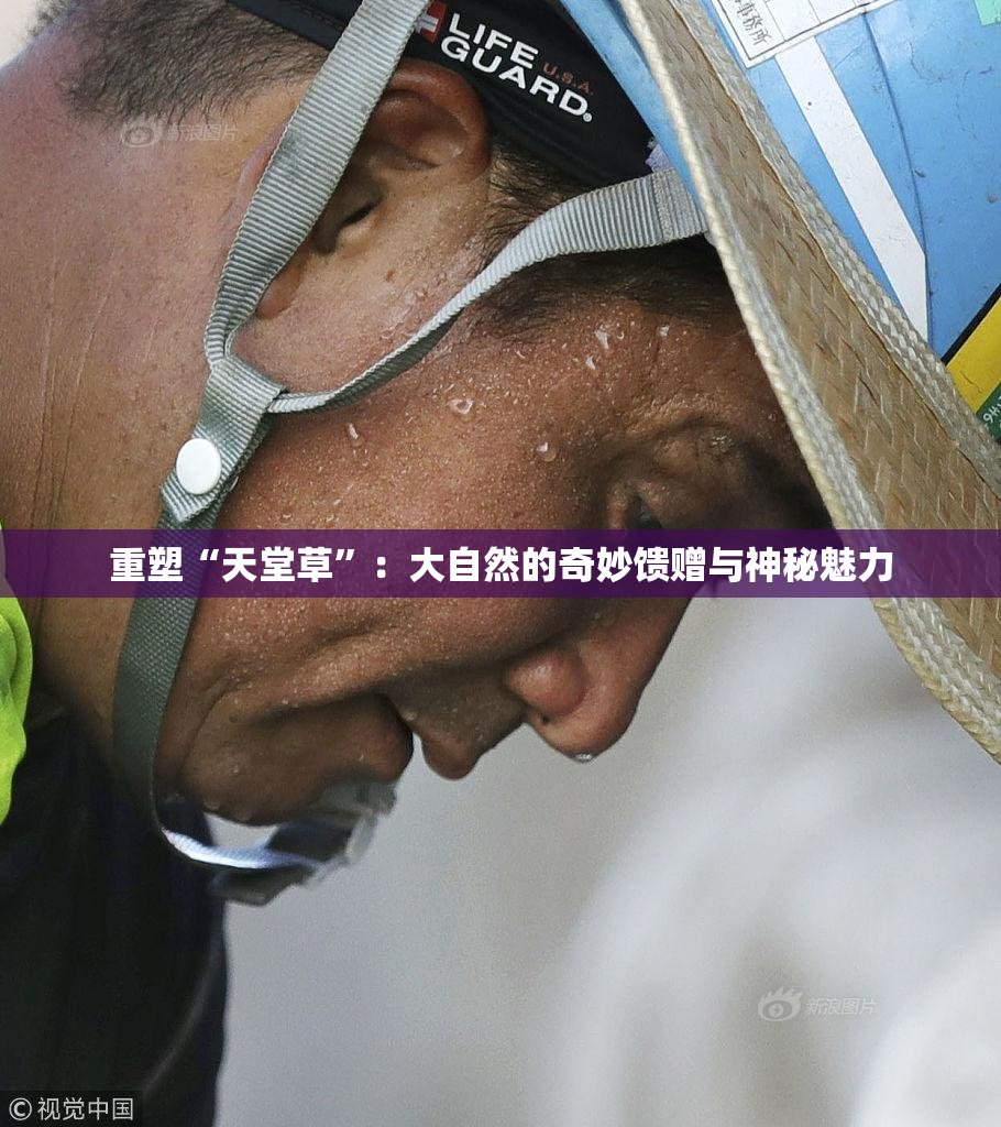 重塑“天堂草”：大自然的奇妙馈赠与神秘魅力