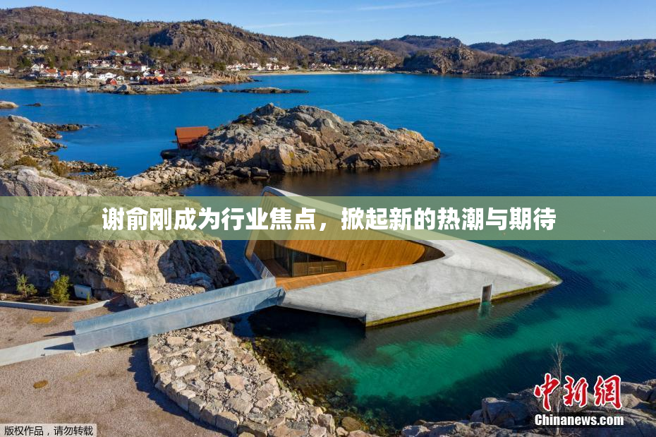 谢俞刚成为行业焦点，掀起新的热潮与期待