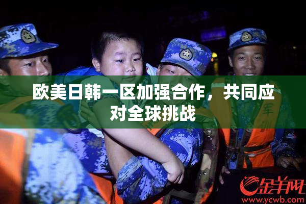 欧美日韩一区加强合作，共同应对全球挑战
