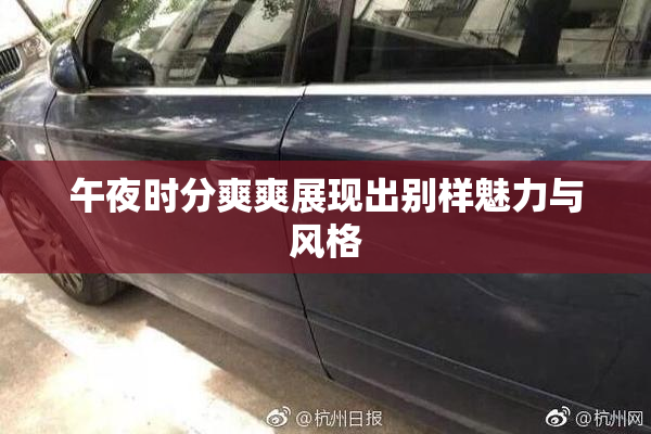 午夜时分爽爽展现出别样魅力与风格