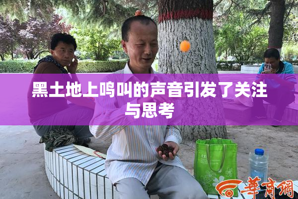 黑土地上鸣叫的声音引发了关注与思考