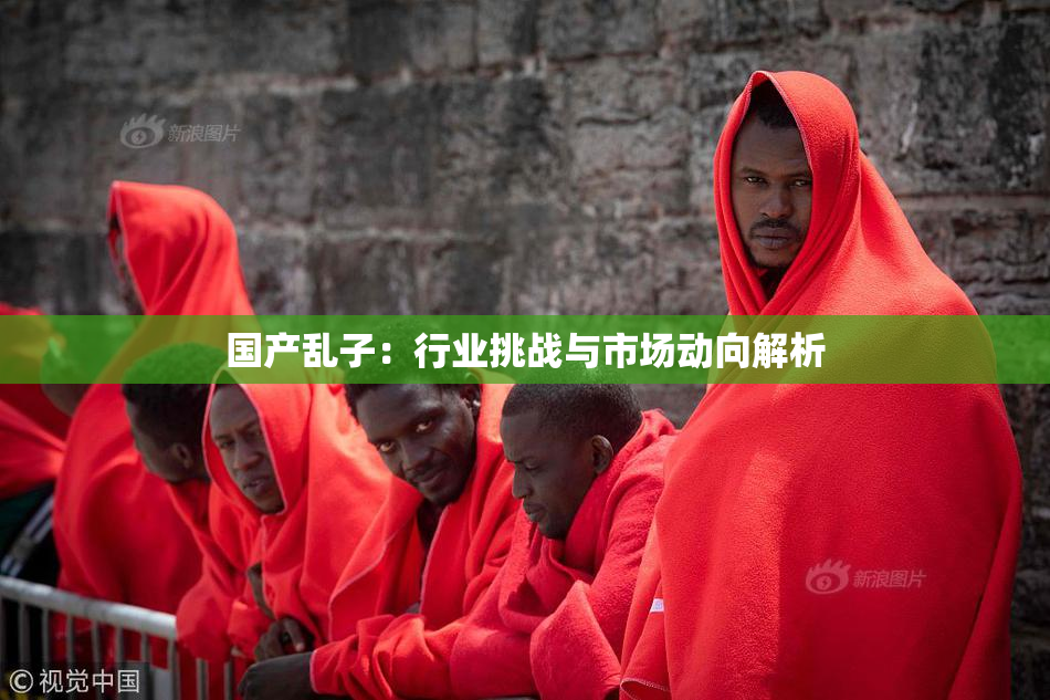 国产乱子：行业挑战与市场动向解析