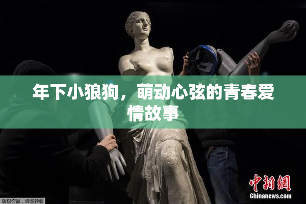 年下小狼狗，萌动心弦的青春爱情故事