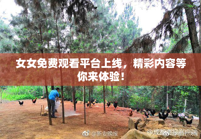 女女免费观看平台上线，精彩内容等你来体验！