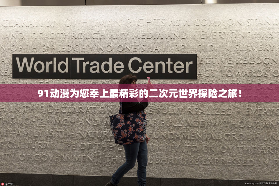 91动漫为您奉上最精彩的二次元世界探险之旅！