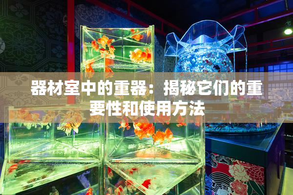 器材室中的重器：揭秘它们的重要性和使用方法