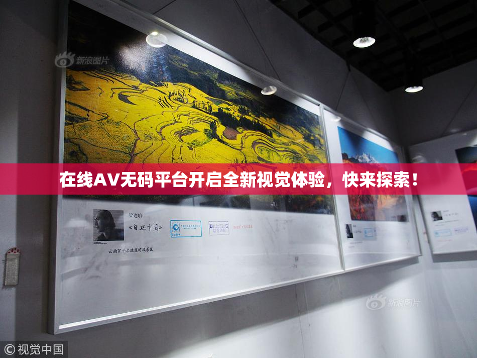 在线AV无码平台开启全新视觉体验，快来探索！