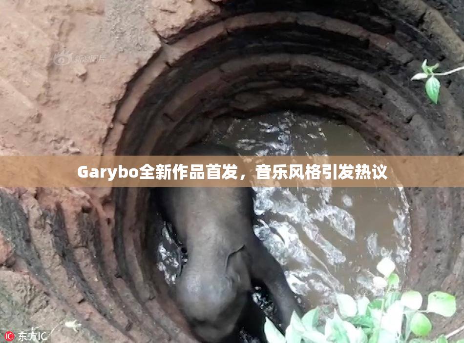 Garybo全新作品首发，音乐风格引发热议