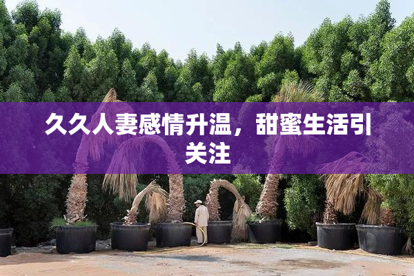 久久人妻感情升温，甜蜜生活引关注