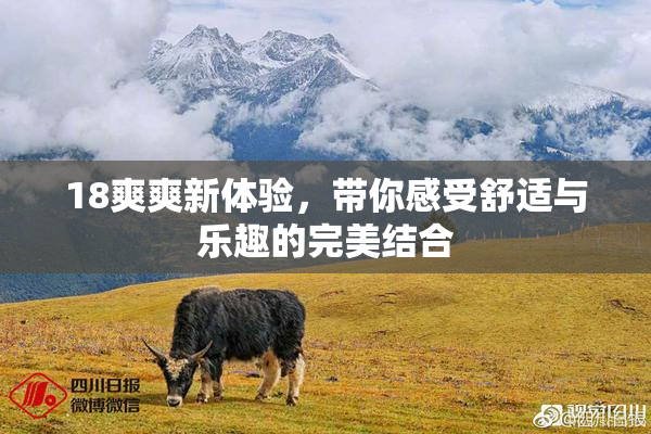 18爽爽新体验，带你感受舒适与乐趣的完美结合